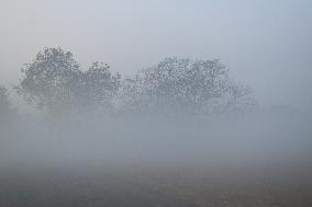 Heavy Fog In Kolkata