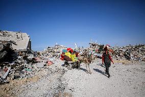 Third Day of A Ceasefire Between Israel and Hamas - Gaza