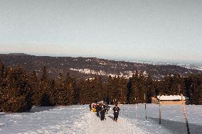 Winter In Karkonosze Mountains