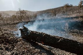 Smoke And Damages Caused By Hughes Fire - USA