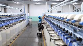 Xinjiang Textile Industry