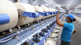 Xinjiang Textile Industry