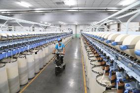 Xinjiang Textile Industry