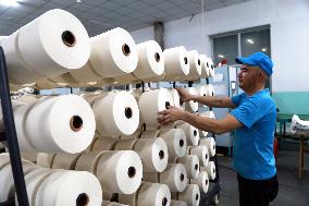 Xinjiang Textile Industry