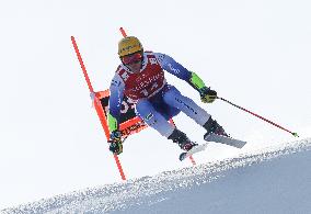 SPORT INVERNALI - Sci Alpino - AUDI FIS Ski World Cup - SuperG - Men