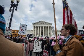 2025 March for Life in Washington, DC