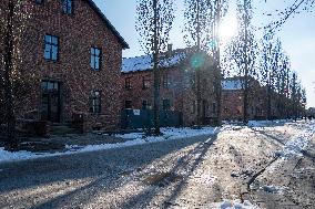 80th Anniversary of Liberation of Auschwitz Concentration Camp - Poland