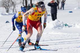 SPORT INVERNALI - Sci Nordico - FIS Cross Country World Cup