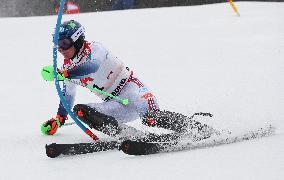 SPORT INVERNALI - Sci Alpino - AUDI FIS Ski World Cup - Slalom - Men