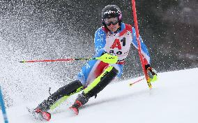 SPORT INVERNALI - Sci Alpino - AUDI FIS Ski World Cup - Slalom - Men