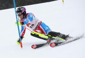 SPORT INVERNALI - Sci Alpino - AUDI FIS Ski World Cup - Slalom - Men