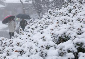 First Snow in Lianyungang