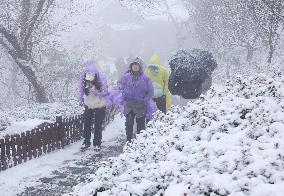 First Snow in Lianyungang