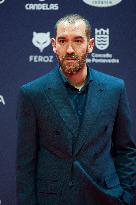 Feroz Awards 2025 - Spain