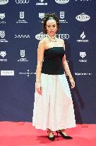 Feroz Awards 2025 - Spain