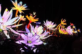 Festive Lantern Fair in Guangzhou