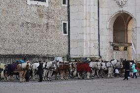 Horse Drawn Carriage Ride Through Salzburg