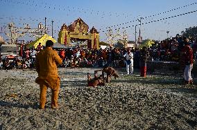 Maha Kumbh Mela Festival In Prayagraj, India