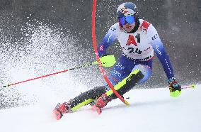 SPORT INVERNALI - Sci Alpino - AUDI FIS Ski World Cup - Slalom - Men