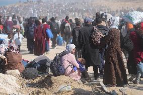 Displaced Palestinians Begin Returning to Northern Gaza