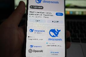 DeepSeek Popular