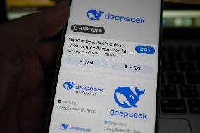 DeepSeek Popular