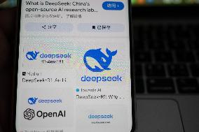 DeepSeek Popular