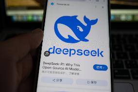 DeepSeek Popular