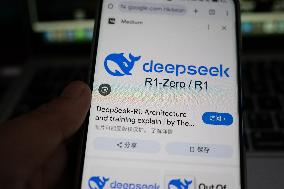DeepSeek Popular
