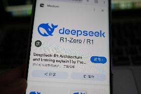 DeepSeek Popular