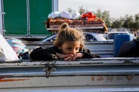 Displaced Palestinians Returned To Northern Gaza