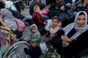 Displaced Palestinians Returned To Northern Gaza