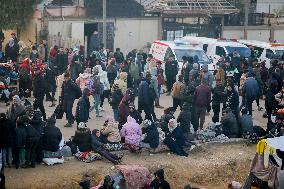 Displaced Palestinians Returned To Northern Gaza