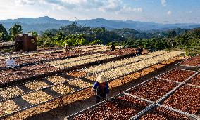 Coffee Industry - China