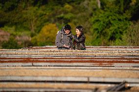 Coffee Industry - China