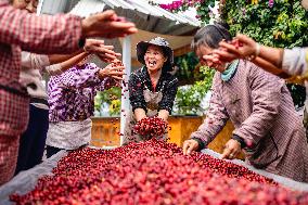 Coffee Industry - China