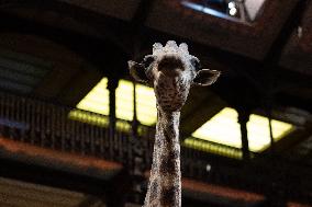 Agnes Pannier-Runacher Presents her Wishes for 2025 - Paris