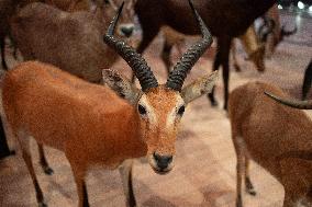 Agnes Pannier-Runacher Presents her Wishes for 2025 - Paris