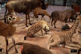 Agnes Pannier-Runacher Presents her Wishes for 2025 - Paris