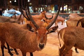 Agnes Pannier-Runacher Presents her Wishes for 2025 - Paris