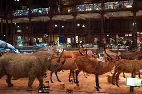 Agnes Pannier-Runacher Presents her Wishes for 2025 - Paris