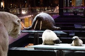 Agnes Pannier-Runacher Presents her Wishes for 2025 - Paris