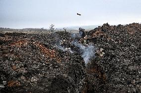 Live fire exercise of 110th Territorial Defence Brigade in Zaporizhzhia direction