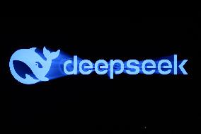 DeepSeek Illustrations