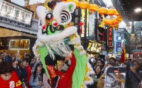 Lunar New Year event in Yokohama