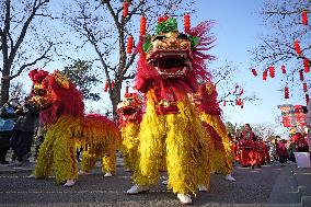 China's Lunar New Year celebrations