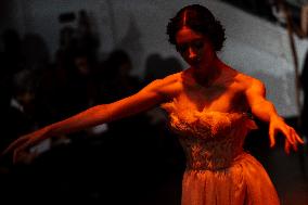PFW - Franck Sorbier Runway
