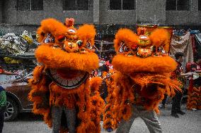 Chinese Lunar New Year Celebration In India : 2025
