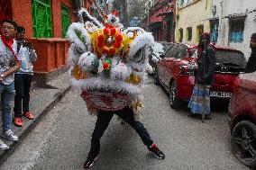 Chinese Lunar New Year Celebration In India : 2025