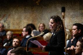 Questions To The French Government At The National Assembly